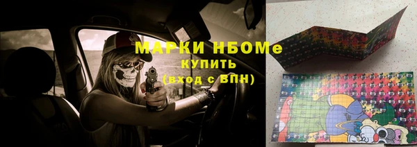 сатива Горняк