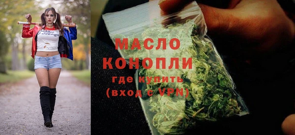 амф Верхний Тагил